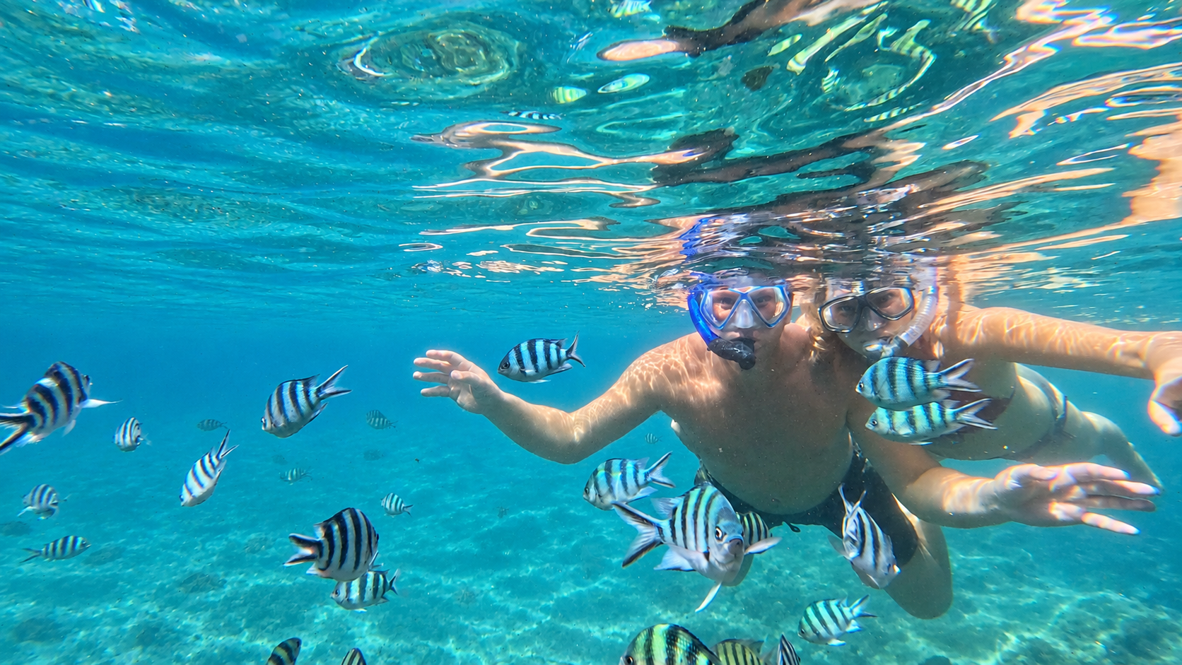 Lazy Legend Snorkeling with Speedboat
